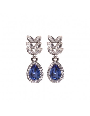 Beautiful earrings Silver/Azul