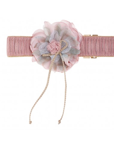 Flower belt for guest Anhusa