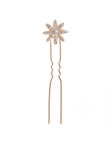 Hairpin for hairstyle star wedding