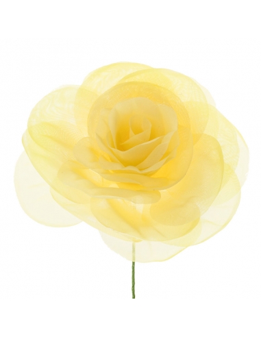 Rosa de flamenca amarilla Triana