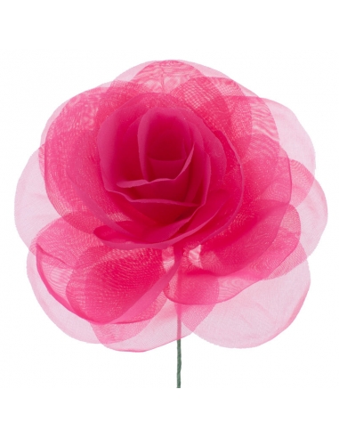 Rosa flamenca fucsia