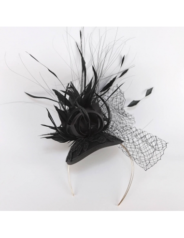 Headband Guest Feathers